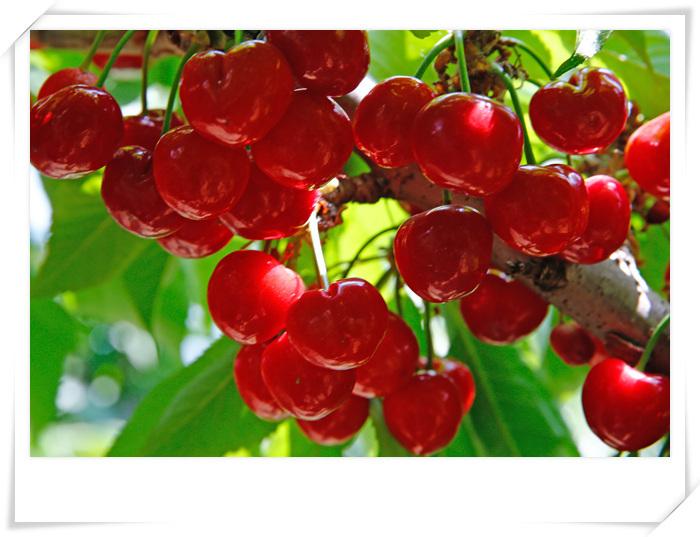 f91fa41c51a5dad475bc3407838d170d.jpeg f91fa41c51a5dad475bc3407838d170d.jpeg